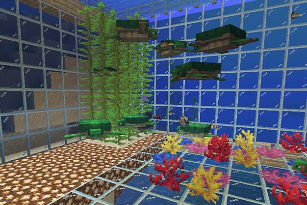 granja para tortugas en minecraft